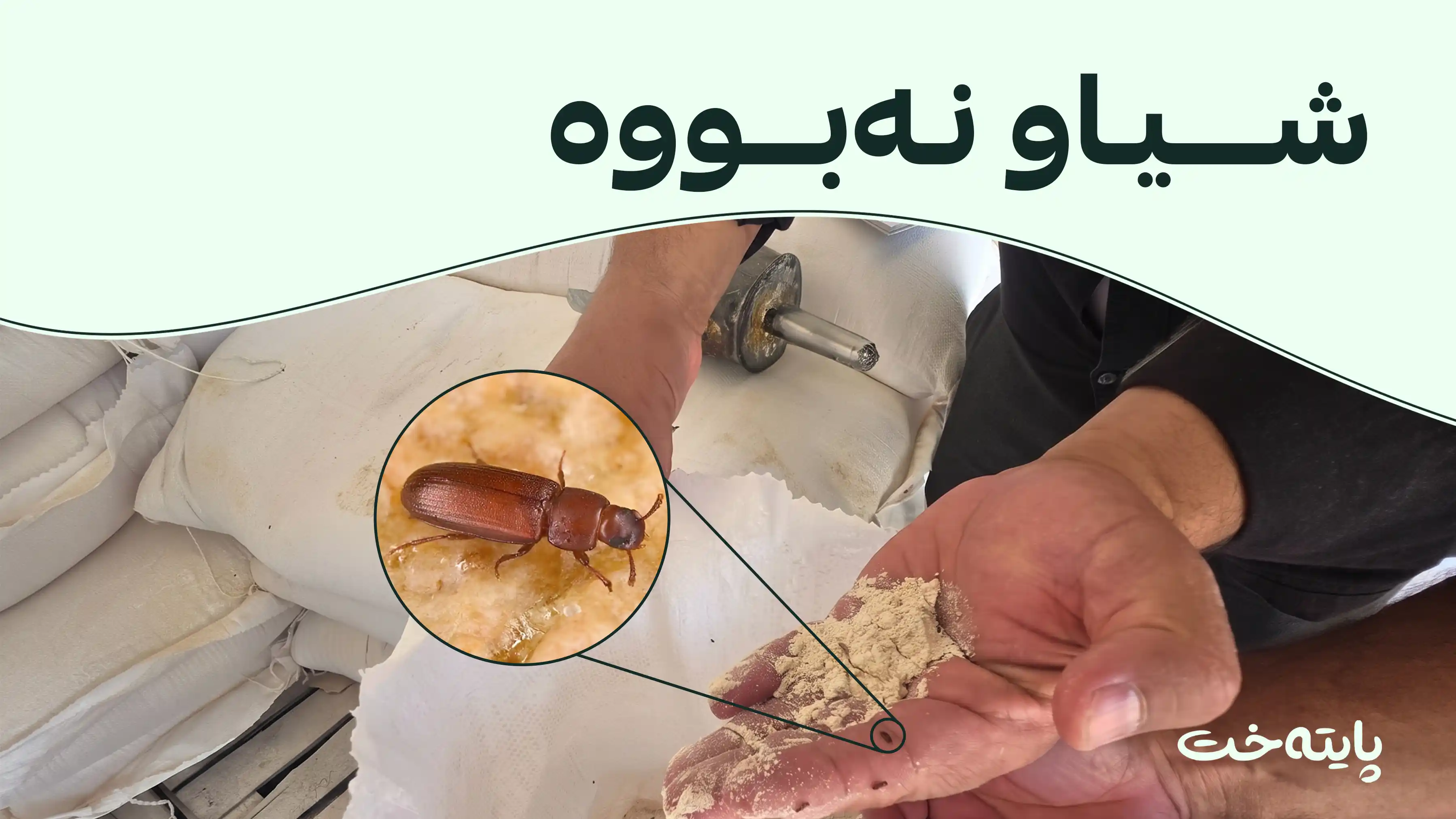 فەردە ئاردە خراپ بووەکان گەڕێندرانەوە