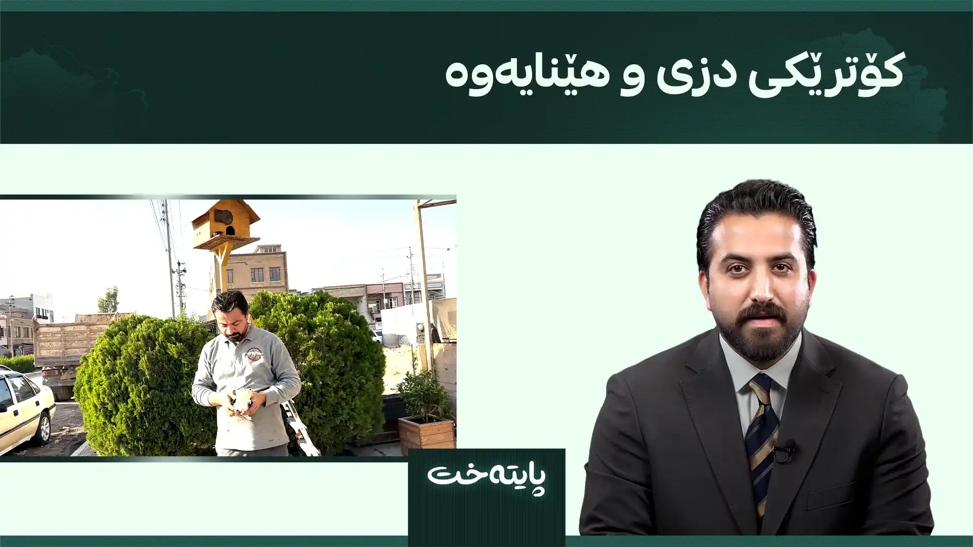 کۆترێکی دزی و هێنایەوە
