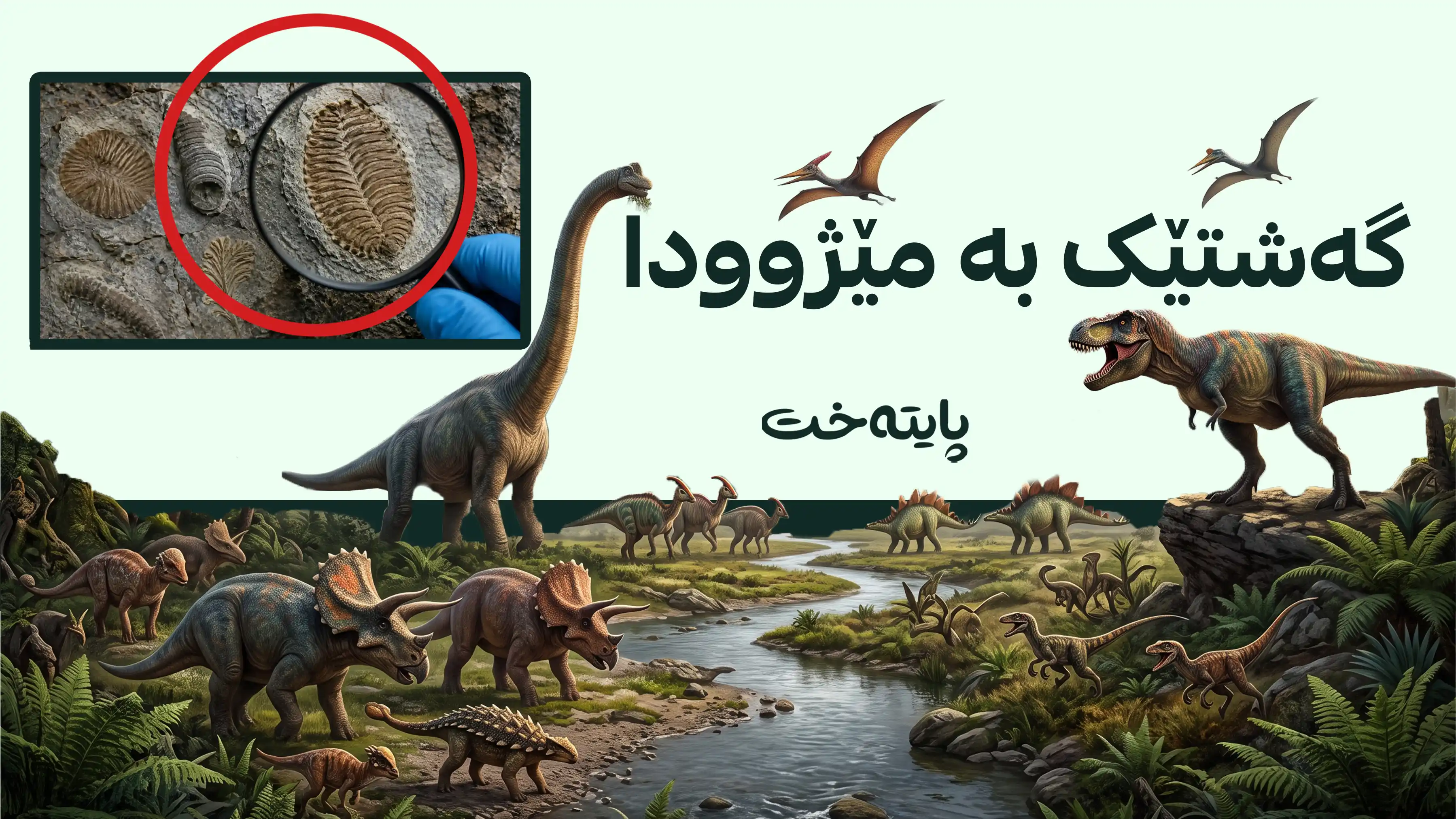 ژیان پێش 567 ملیۆن ساڵ توانای پەرەسەندنی جەستەیی هەبووە
