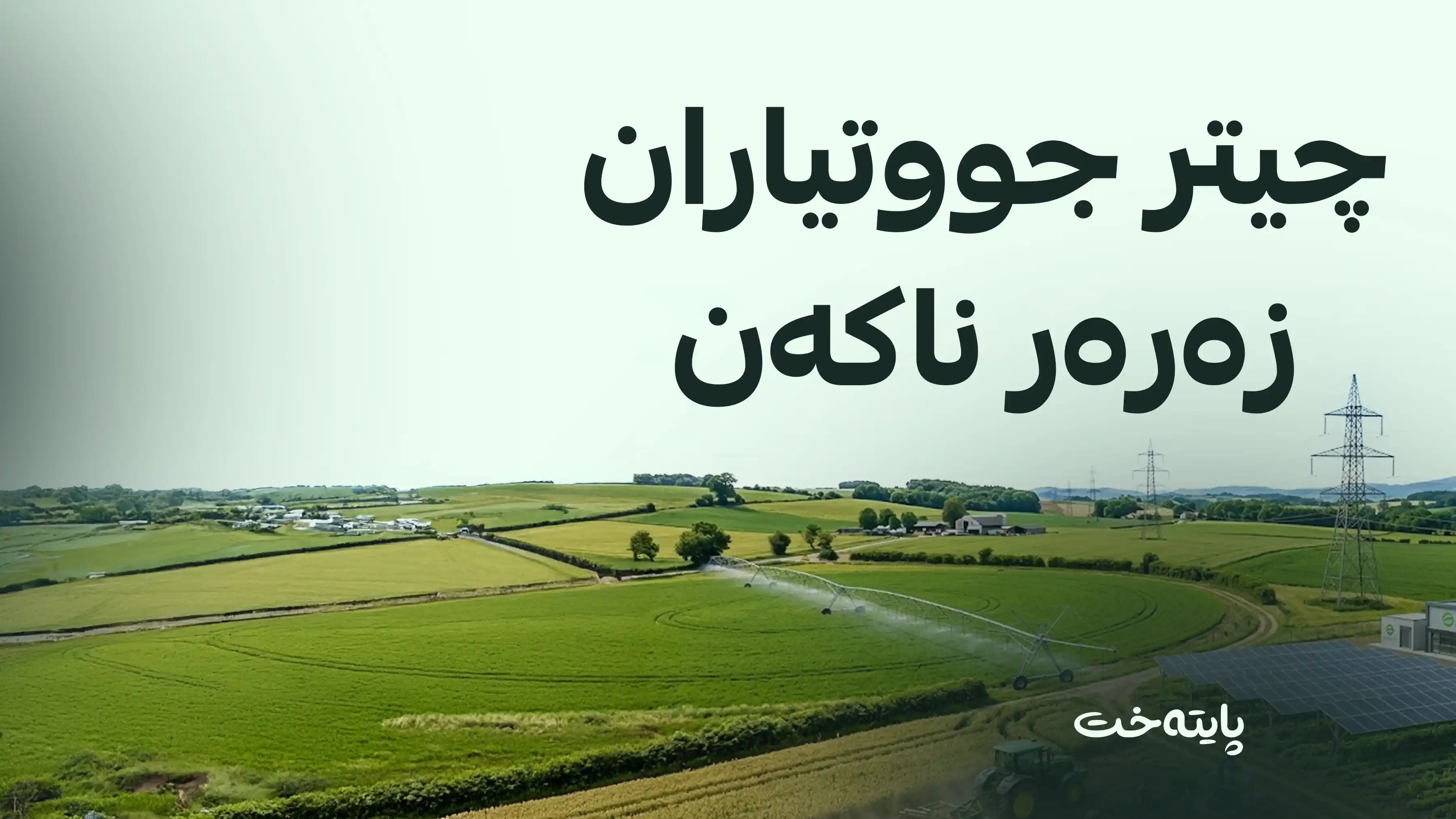 بەرهەمی جووتیارانی باڵەکایەتی و سیدەکان بە نرخی گونجاو وەردەگیرێت