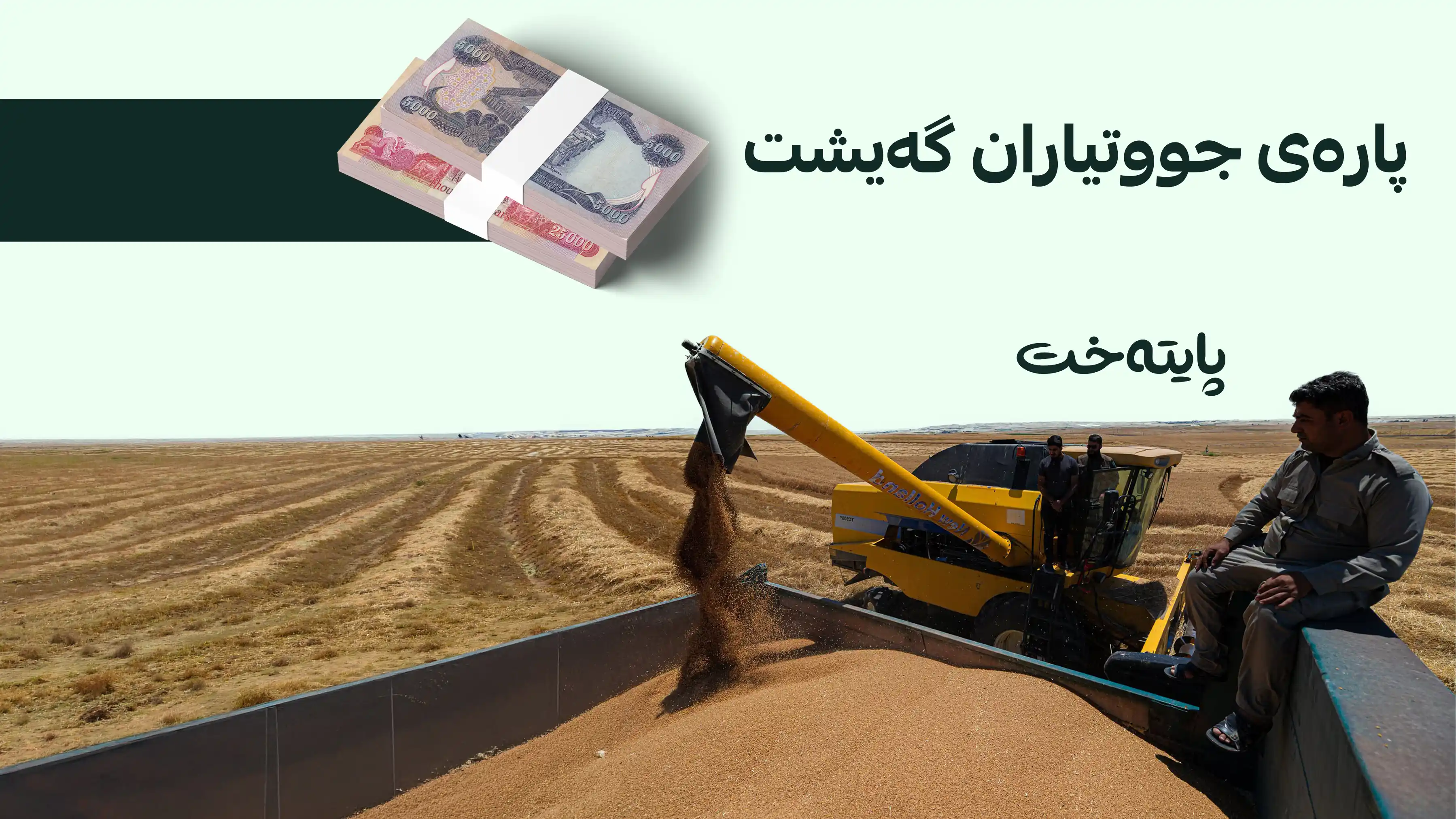 هەفتەی داهاتوو پارەی گەنم دابەش دەکرێت