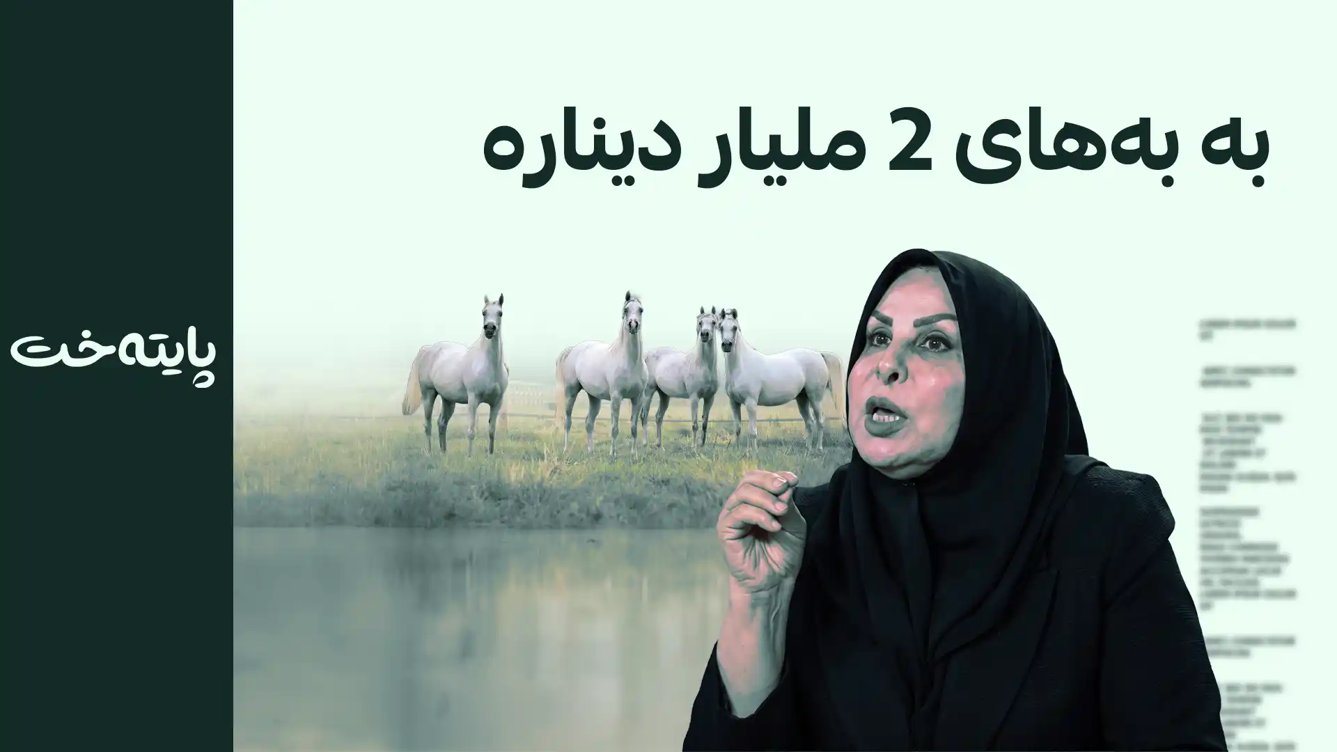 23 ئەسپی عالیە نوسەیف لە زیادکردنێکی ئاشكرا دا دەفرۆشرێن