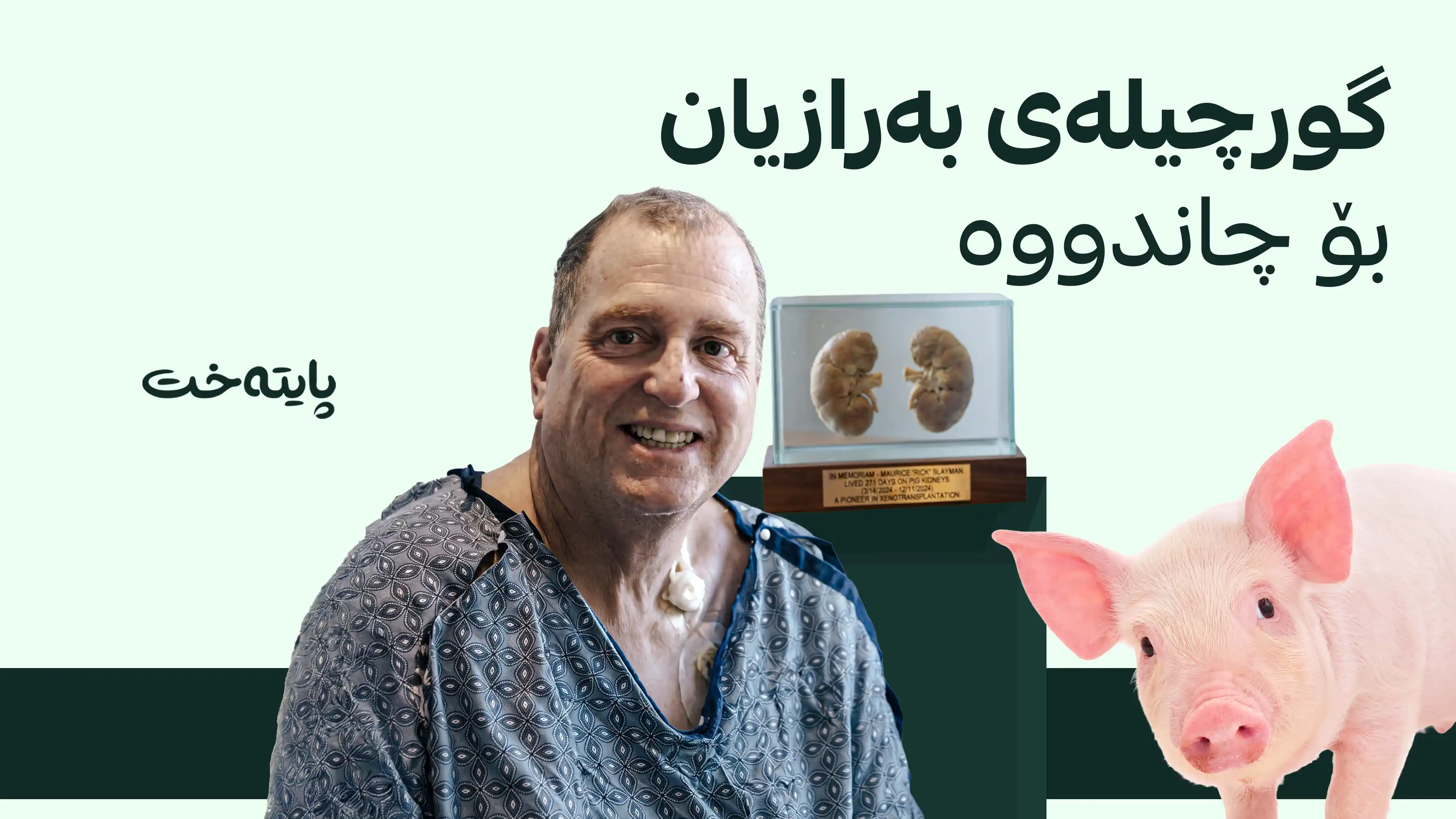 پیاوێک زیاتر لە 200 ڕۆژ بە گورچیلەی ئاژەڵێک دەژێت