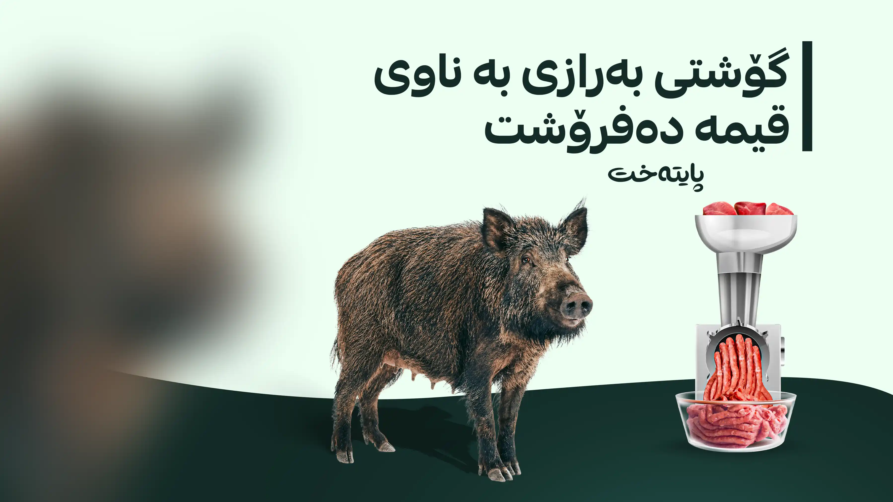 گۆشتفرۆشێک له‌سه‌ر فرۆشتنی گۆشتی بەرازی کێوی دەستگیر کرا
