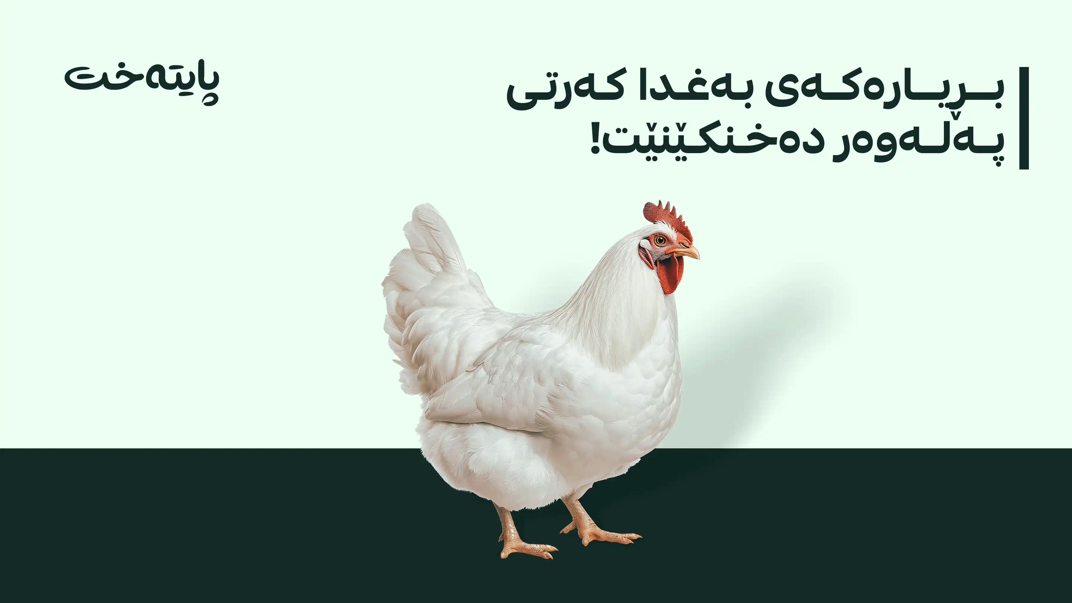 بێگەرد تاڵەبانی داوای پێداچوونەوە بە بڕیاری هەڵگرتنی باجی هێلکە و مریشک دەکات