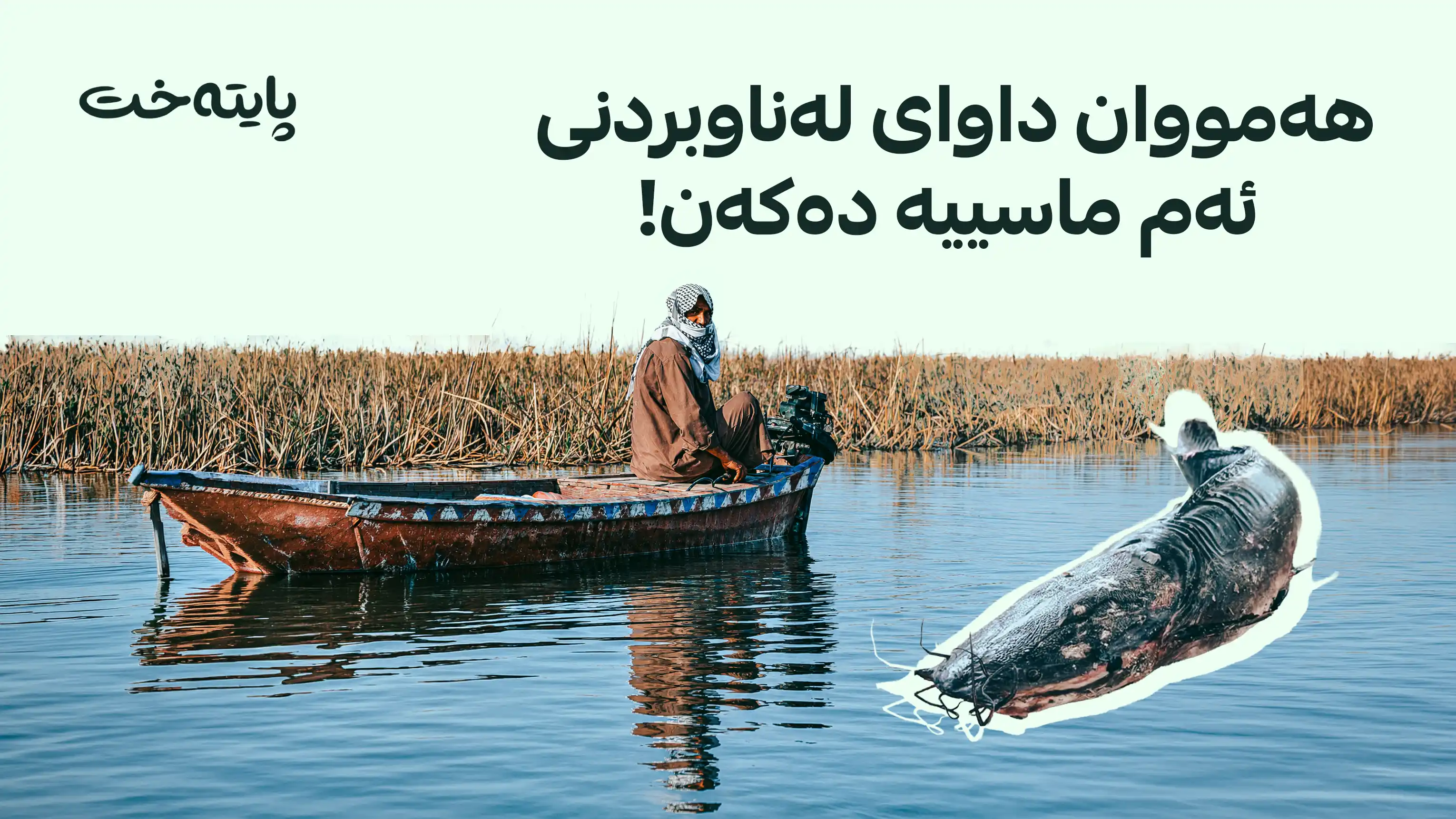 هەڵمەتی بەپەلەی پارێزگای ئەنبار و هۆشداری له‌ بڵاوبوونه‌وه‌ی ماسییه‌كی ئه‌فریقی