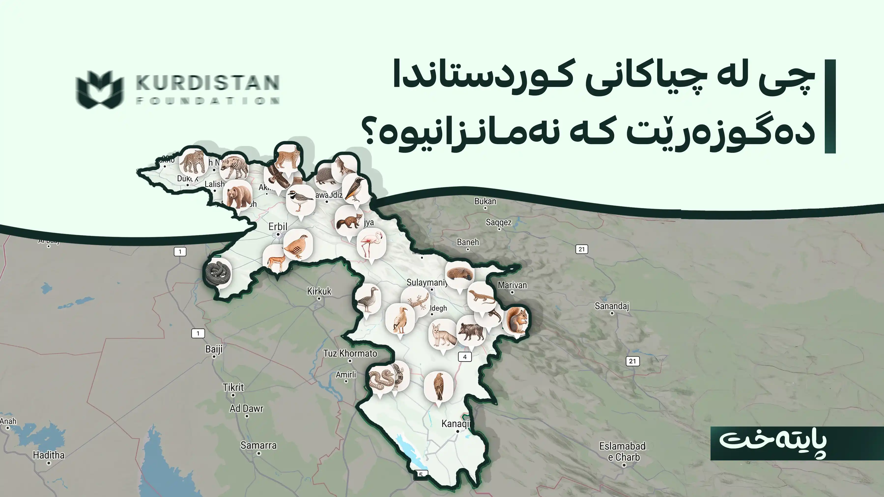 کوردستان فاوندەیشن پڕۆژەی فرەچەشنیی زیندی لە هەرێمی کوردستان ڕادەگەیەنێت