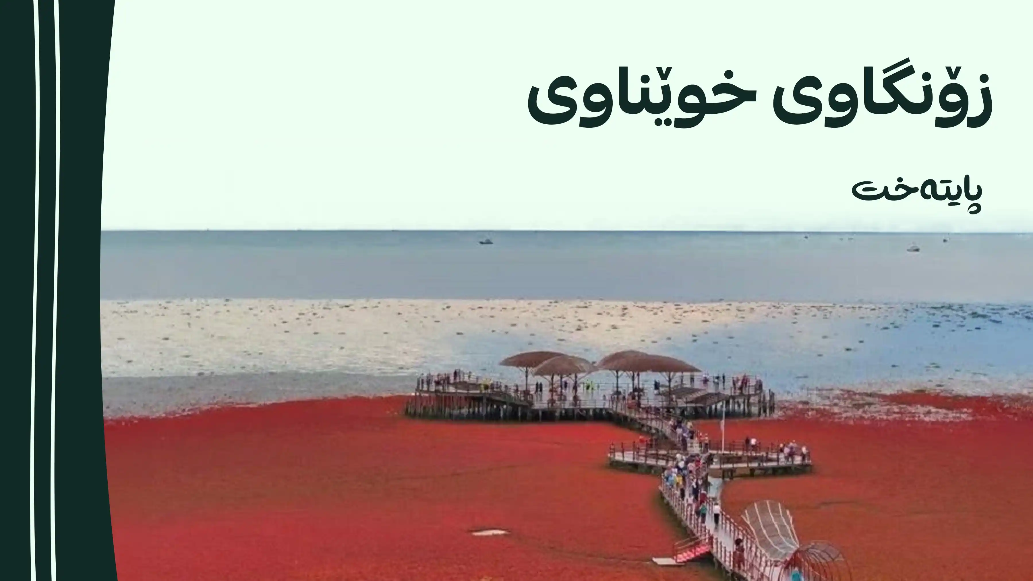 زۆنگاوە کەناراوییەکانی چین بە تەواوی سوور دەبن و دیمەنێکی ناوازە دەخولقێنن